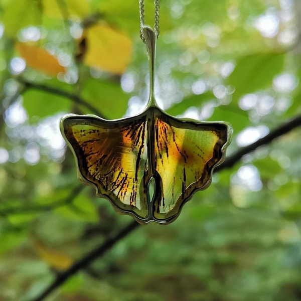 Pendant  • Ginkgo leaf  • Baltic amber and silver