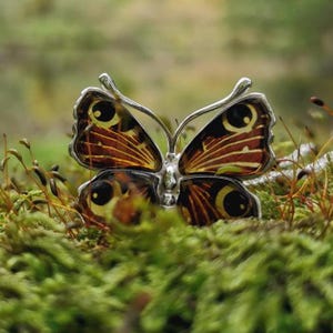 Pendant • Peacock eye butterfly • Baltic amber and silver