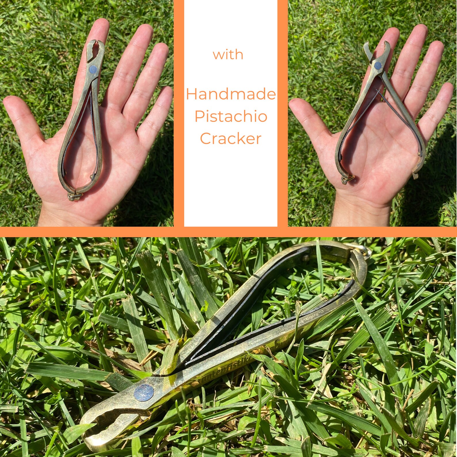 Dried Raw Organic Pistachio in Natural Shell with Handmade | Etsy