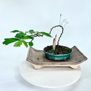 indoor plant light stand Grow Light Full Spectrum LED Floor Plant Light for Indoor Plants – Glowrium main image 0