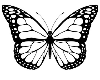 coloring butterfly etsy