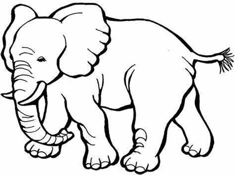 zoo animals coloring book etsy