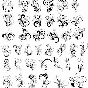 Floral Swirl Decorative Vector Set