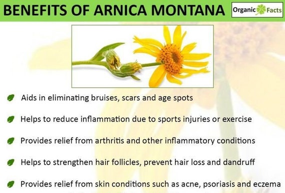 Arnica Flower Whole Dried | Arnica 1oz / 2 oz | Organic | Natural Herbs |  Mexican Arnica - Heterotheca Inuloides
