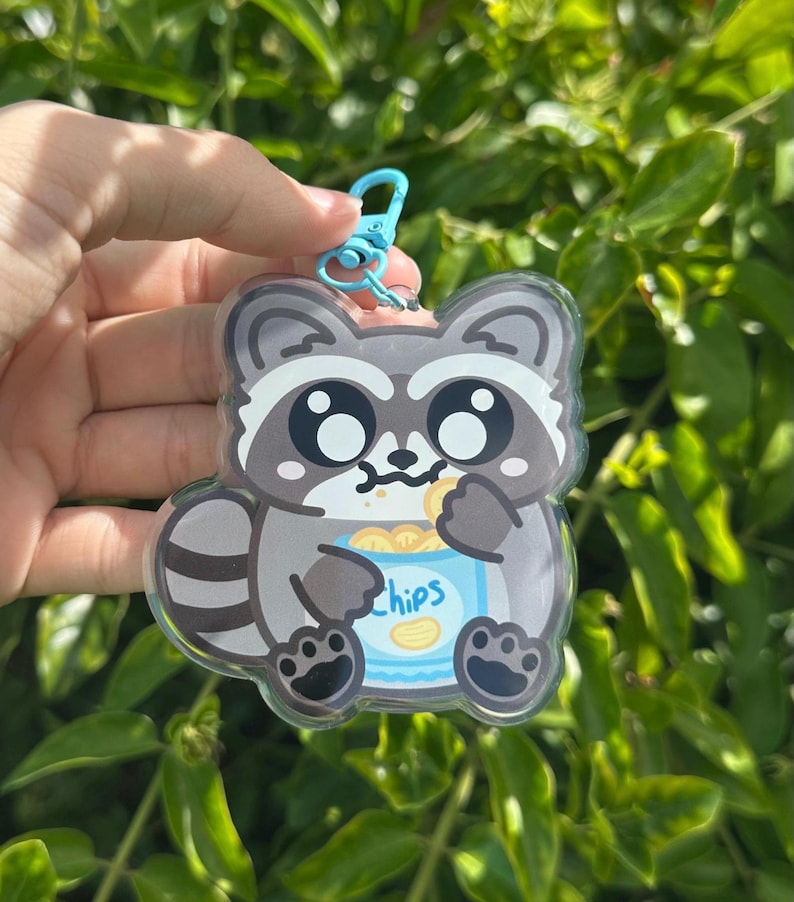 Raccoon Eating Chips Acrylic Keychain - Etsy