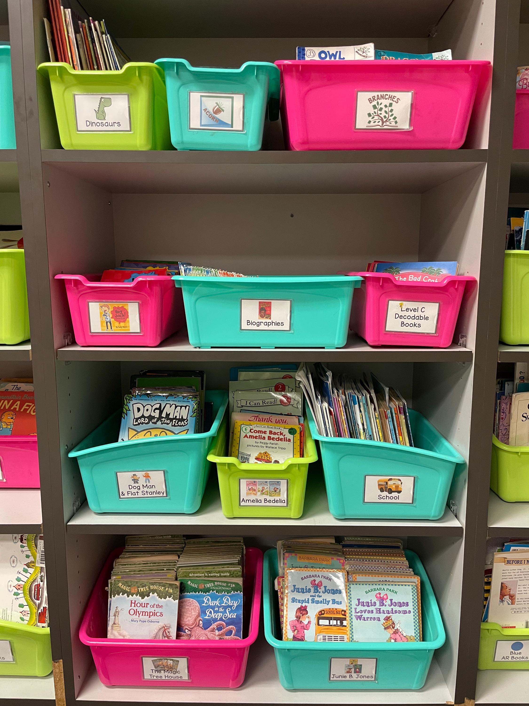 Classroom Library Book Basket or Bin Labels - INSTANT DOWNLOAD! - Etsy