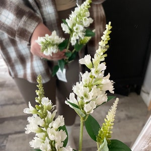 white physostegia spray