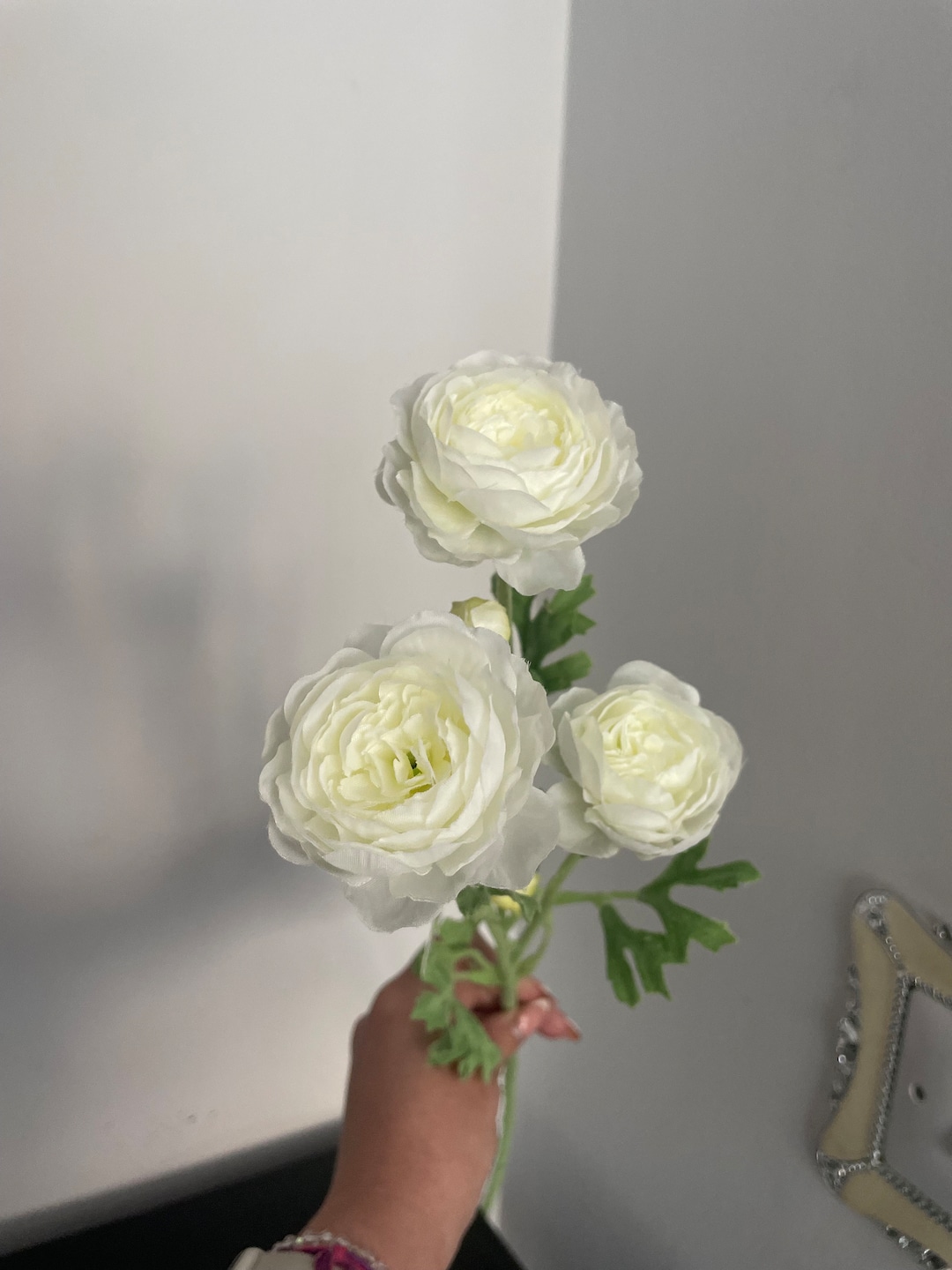 Small Ranunculus Invertirbrate Ivory Mini Ranunculus - Etsy