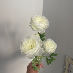 Ivory mini ranunculus