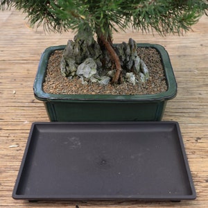 Medium Humidity Drip Tray