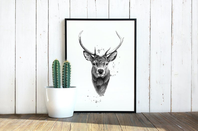 Stag biro drawing - Deer - Hand drawn - Animal drawing Stag biro drawing - Deer - Hand drawn - Animal drawing