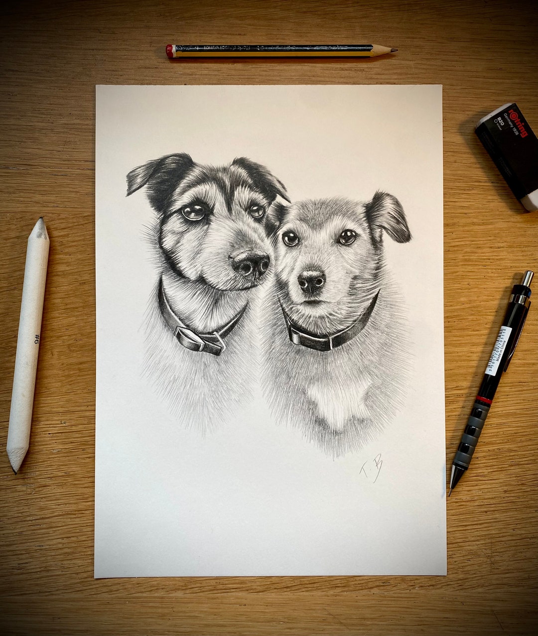 Hand Drawn Pet Portrait Personalised Pet Portrait Custom Animal Drawing ...