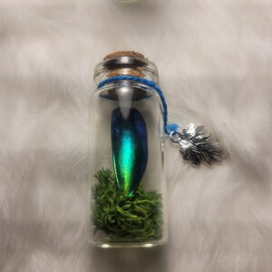 Jewel Beetle Elytra Jar with Moss and Charm