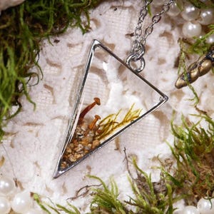 May include: A silver-toned pendant necklace with a clear, triangular resin-filled charm. The charm contains miniature mushrooms, small stones, and dried plant matter. The necklace is displayed on a white lace surface with moss and pearls.