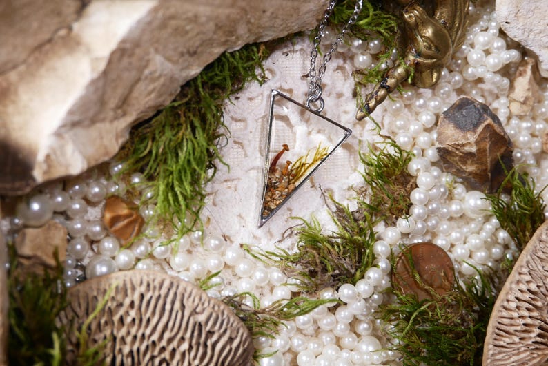 May include: A silver-toned necklace with a triangular pendant. The pendant is clear, showcasing a miniature arrangement of dried mushrooms, small stones, and dried plants. The background features pearls, moss, and decorative elements.
