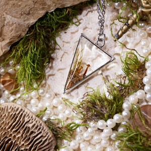 May include: A silver-toned pendant necklace with a triangular glass pendant. The pendant contains dried plants and small mushrooms. The necklace is surrounded by pearls, green moss, and natural elements.