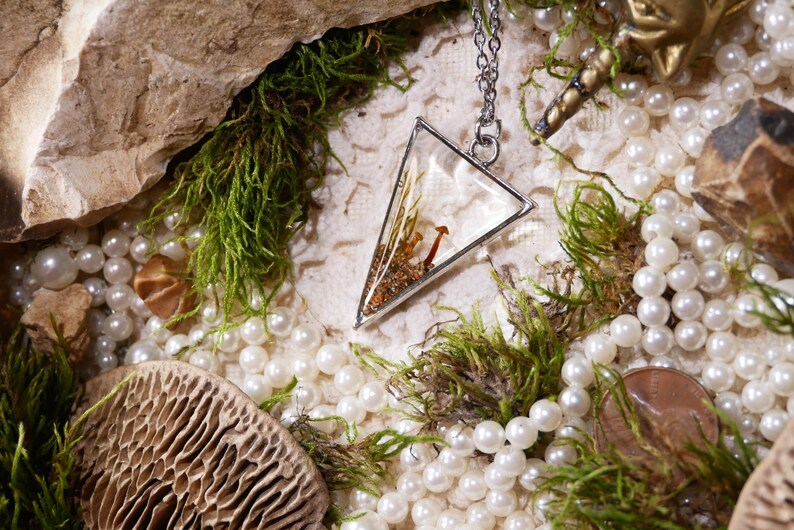 May include: A silver-toned pendant necklace with a triangular glass pendant. The pendant contains dried plants and small mushrooms. The necklace is surrounded by pearls, green moss, and natural elements.