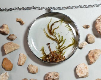 Mushroom terrarium Pendant forest jewelry gift for her fairy grunge outfit elf core cosplay goth necklace autumn vibes unique Christmas gift