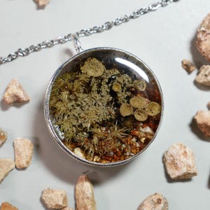 Echte korstmos terrarium sieraden echte paddenstoel terrarium sieraden voor fairy grunge fashion goblin ketting outfit faerie stijl cadeau pixie