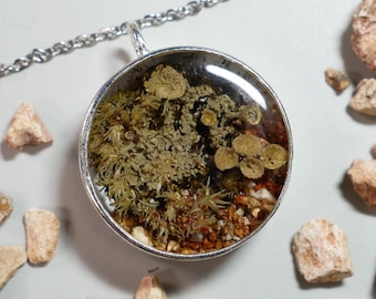 Real lichen terrarium jewelry Real Mushroom terrarium jewelry for fairy grunge fashion goblin necklace outfit faerie style gift pixie