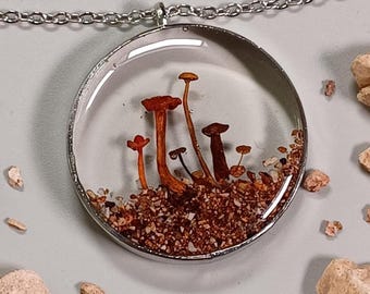 Real Mushroom Terrarium Necklace Goblin Core Witchy Jewelry autumn vibe style