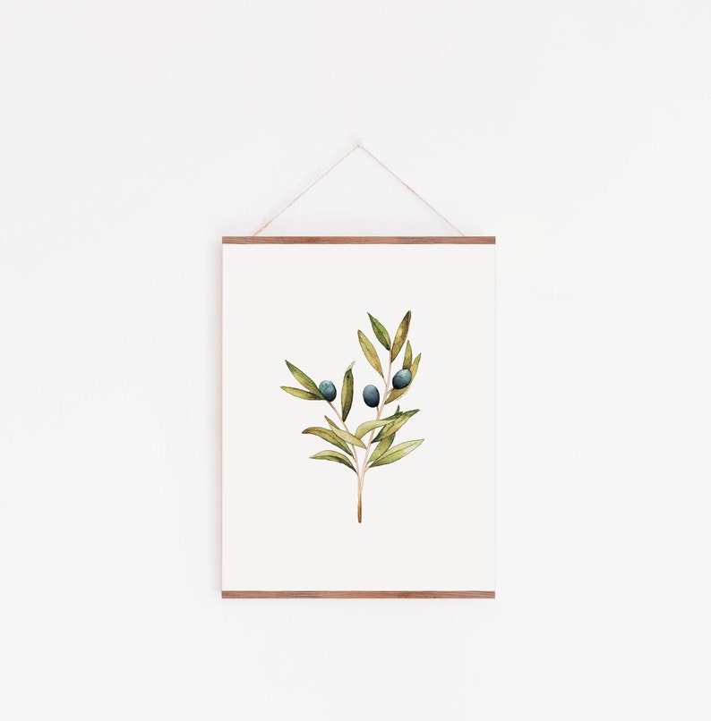 Acuarela botánica con Ilustración de olivo, lámina botánica decorativa, Olive Tree watercolor, Lámina decorativa Acuarela A4, Acuarela A5 imagen 1
