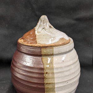 Pointy Lid Container