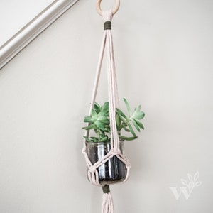 May include: A white macrame plant hanger with a green succulent plant in a clear glass jar. The hanger is made with a simple knot pattern and has a wooden ring at the top.