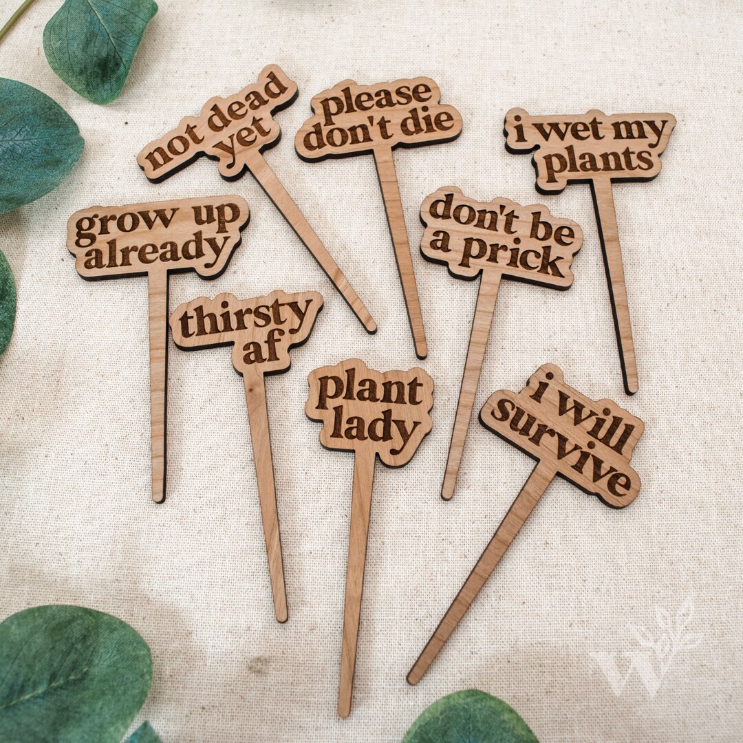 SET OF EIGHT Modern Plant Markers Fun Plant Stakes Wood Engraved Plant