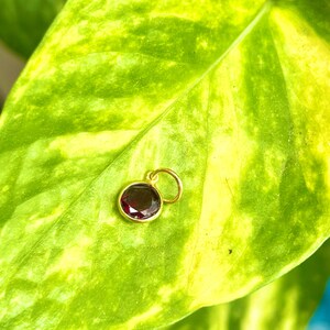 May include: A small, round pendant with a deep red gemstone set in a gold-colored metal. The pendant is displayed on a vibrant green leaf with yellow highlights, creating a striking contrast. The pendant has a small loop for a chain.