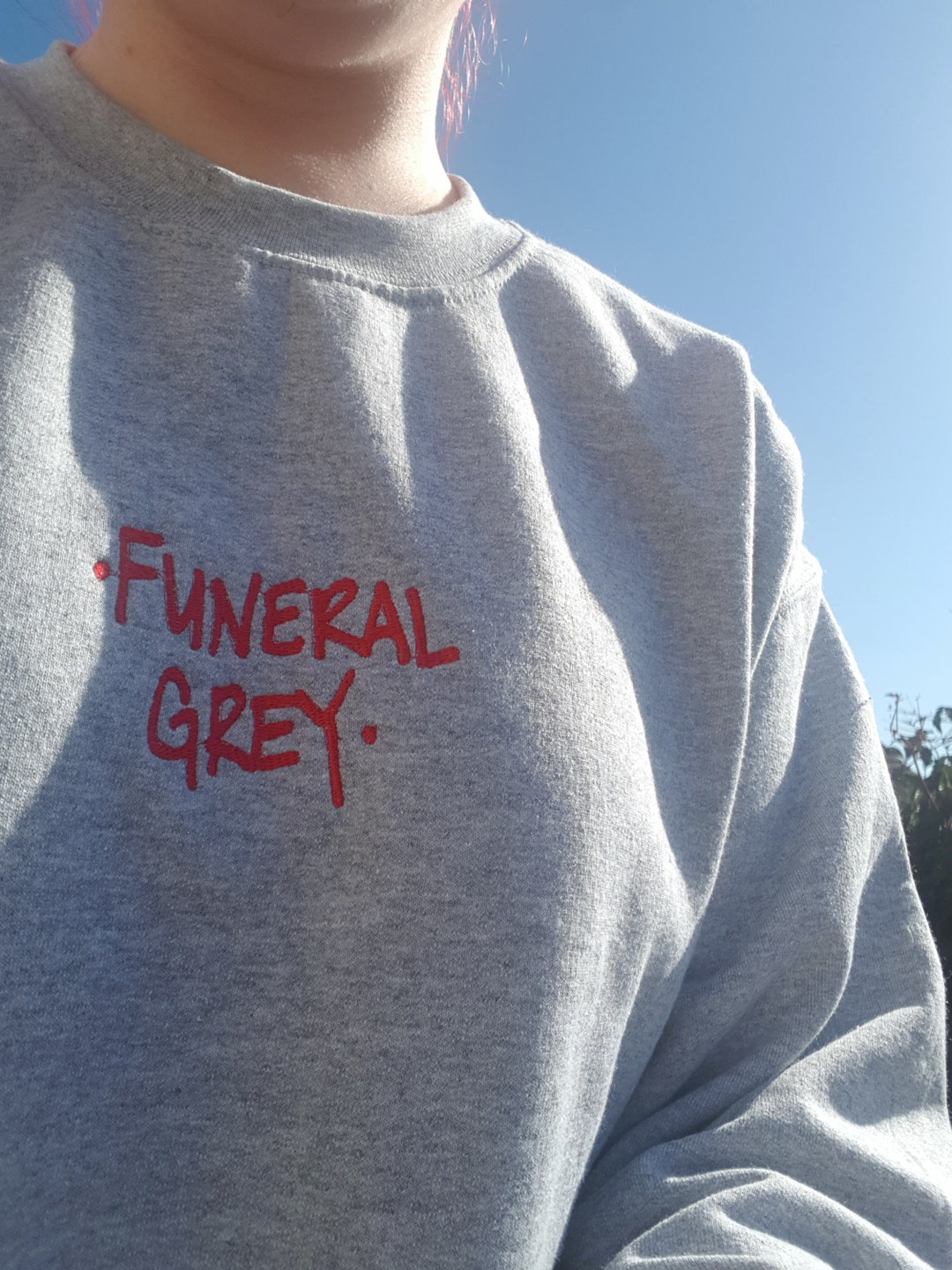 Waterparks Funeral Grey Embroidered Sweatshirt Etsy
