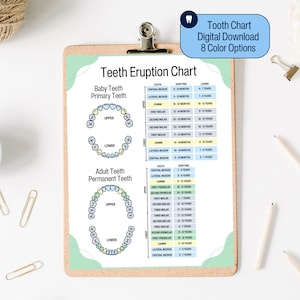 May include: A teeth eruption chart on a clipboard. The chart includes diagrams of baby and adult teeth, with eruption and losing times. Text at the top reads "Teeth Eruption Chart" and "Tooth Chart Digital Download 8 Color Options".