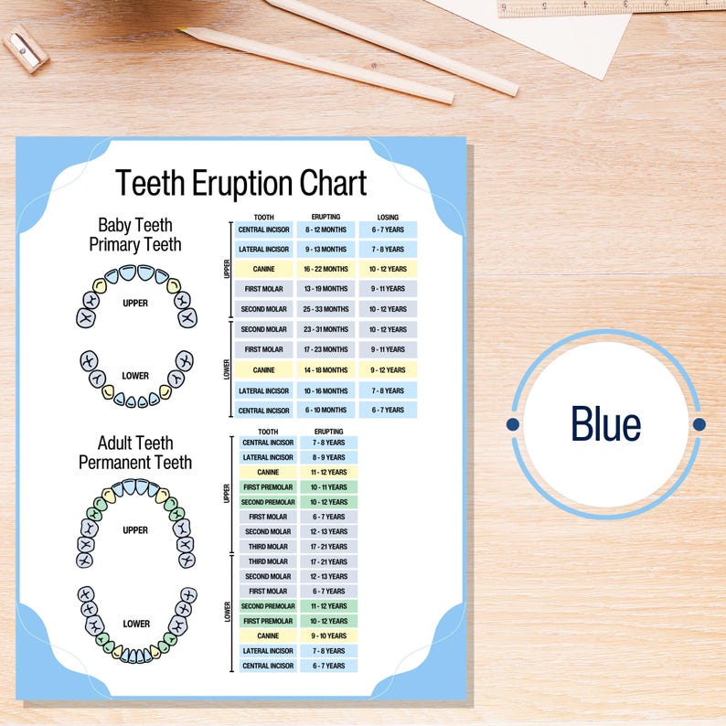 Dental Digital Download Dental Art Printable Tooth Chart Dentist Gift ...