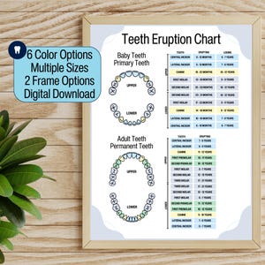 Tooth Chart Dental Wall Art Dental Wall Decor Dentist Gift Teeth Chart Pediatric Dentist Office Dental Wall Hanging Waiting Room Decor Art