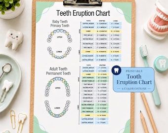 Teeth Eruption Chart Digital Download Primary Permanent Teeth Chart for Pediatric Dental Office Decor Printable Dental Student Study Guide