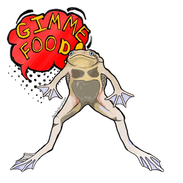 African Dwarf Frog Sticker | Gimme food | Vinyl Sticker