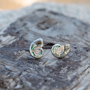 Abalone Nautilus Shell Earrings