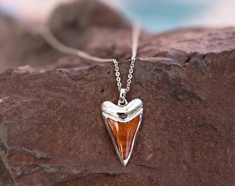 May include: A silver chain necklace with a pendant shaped like a shark tooth. The tooth is made of wood and has a brown and orange color.