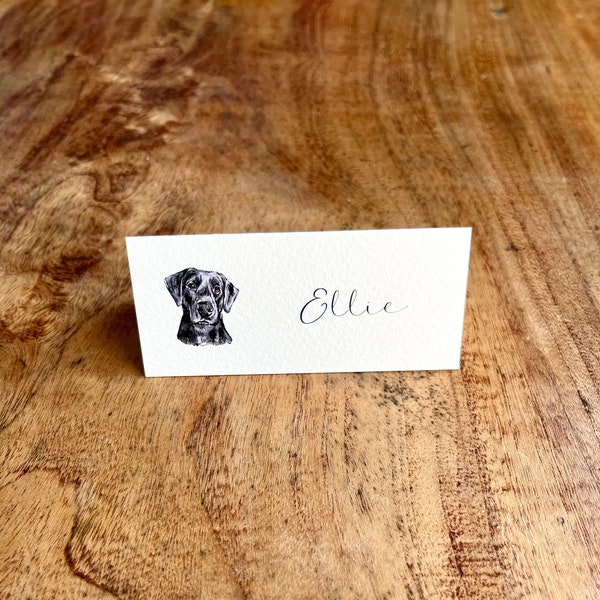 Illustrated Wedding Place Cards | Personalised Name Cards | Mini Watercolour Illustration | Wedding Pet Portrait