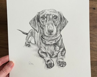 Personalised Pet Sketch | Dog Portrait | Custom Animal Drawing | Pet Portrait | Pencil Drawing | Pet Memorial | Christmas Gift