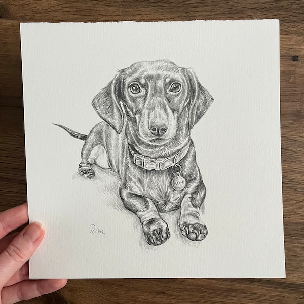 Personalised Pet Sketch | Dog Portrait | Custom Animal Drawing | Pet Portrait | Pencil Drawing | Pet Memorial | Christmas Gift