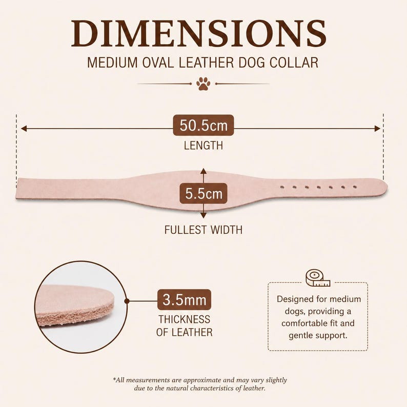 Peut inclure: Un collier pour chien en cuir beige clair avec un centre ovale. Le texte indique les dimensions : 50,5 cm de longueur, 5,5 cm de largeur maximale et 3,5 mm d'&eacute;paisseur. L'image contient le texte DIMENSIONS, MEDIUM OVAL LEATHER DOG COLLAR.
