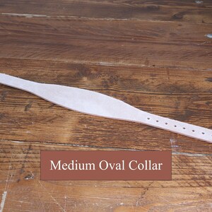Collier pour chien en cuir pleine fleur vierge havane sangle pour maroquinerie, sangle d'outillage, fabrication de collier à faire soi-même, kit de travail du cuir, pratique de brunissage image 14