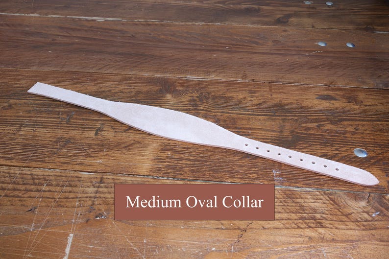 Collier pour chien en cuir pleine fleur vierge havane sangle pour maroquinerie, sangle d'outillage, fabrication de collier à faire soi-même, kit de travail du cuir, pratique de brunissage image 14