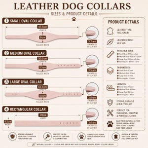 Peut inclure: Un tableau informatif intitul&eacute; LEATHER DOG COLLARS pr&eacute;sentant quatre mod&egrave;les de colliers en cuir beige clair. Il indique les dimensions en centim&egrave;tres, avec des longueurs de 45cm &agrave; 62,5cm, des largeurs de 4,2cm &agrave; 6cm et des &eacute;paisseurs de 3,2mm &agrave; 3,6mm.