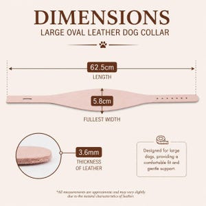 Collier pour chien en cuir pleine fleur vierge havane sangle pour maroquinerie, sangle d'outillage, fabrication de collier à faire soi-même, kit de travail du cuir, pratique de brunissage image 15