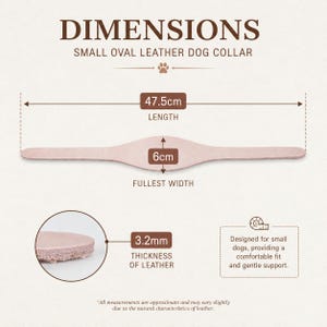 Peut inclure: Un collier pour chien en cuir beige clair avec un centre ovale. Le texte indique DIMENSIONS, SMALL OVAL LEATHER DOG COLLAR, 47.5cm LENGTH, 6cm FULLEST WIDTH et 3.2mm THICKNESS OF LEATHER. Un encart circulaire montre l'&eacute;paisseur du cuir.