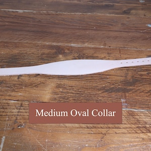 Peut inclure: Une sangle en cuir beige clair avec une section centrale large et ovale, ainsi qu'une s&eacute;rie de petits trous circulaires perfor&eacute;s le long d'une extr&eacute;mit&eacute; effil&eacute;e. Le texte "Medium Oval Collar" appara&icirc;t dans un rectangle marron sous la sangle.