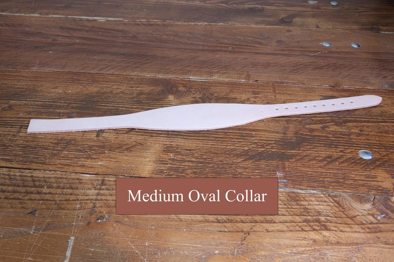 Peut inclure: Une sangle en cuir beige clair avec une section centrale large et ovale, ainsi qu'une s&eacute;rie de petits trous circulaires perfor&eacute;s le long d'une extr&eacute;mit&eacute; effil&eacute;e. Le texte "Medium Oval Collar" appara&icirc;t dans un rectangle marron sous la sangle.