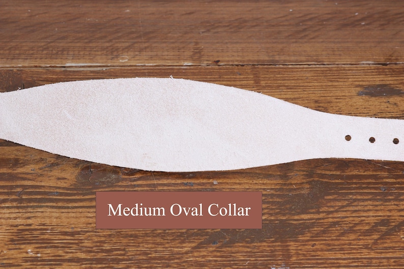 Peut inclure: Un collier ovale de couleur claire et textur&eacute;, pr&eacute;sentant une forme effil&eacute;e et une s&eacute;rie de trois trous circulaires sur le c&ocirc;t&eacute; droit. Une &eacute;tiquette rectangulaire brune avec le texte blanc Medium Oval Collar est plac&eacute;e sous l'objet.